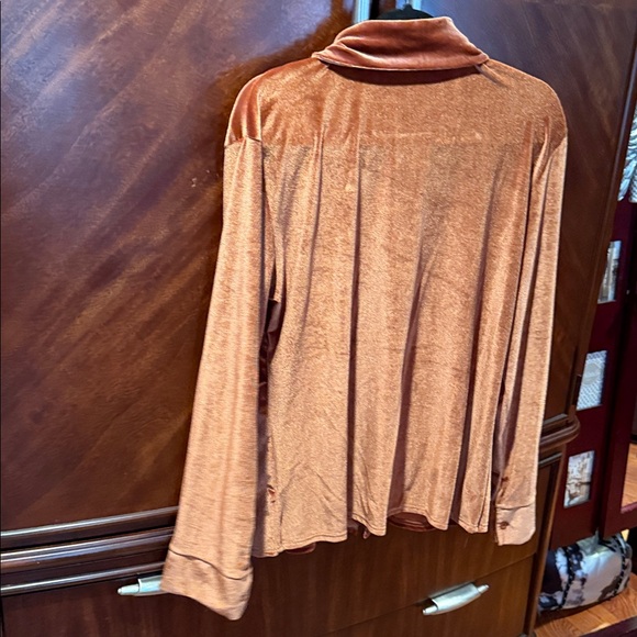 Velvet Button Down Shirt in Rust - Picture 4 of 4